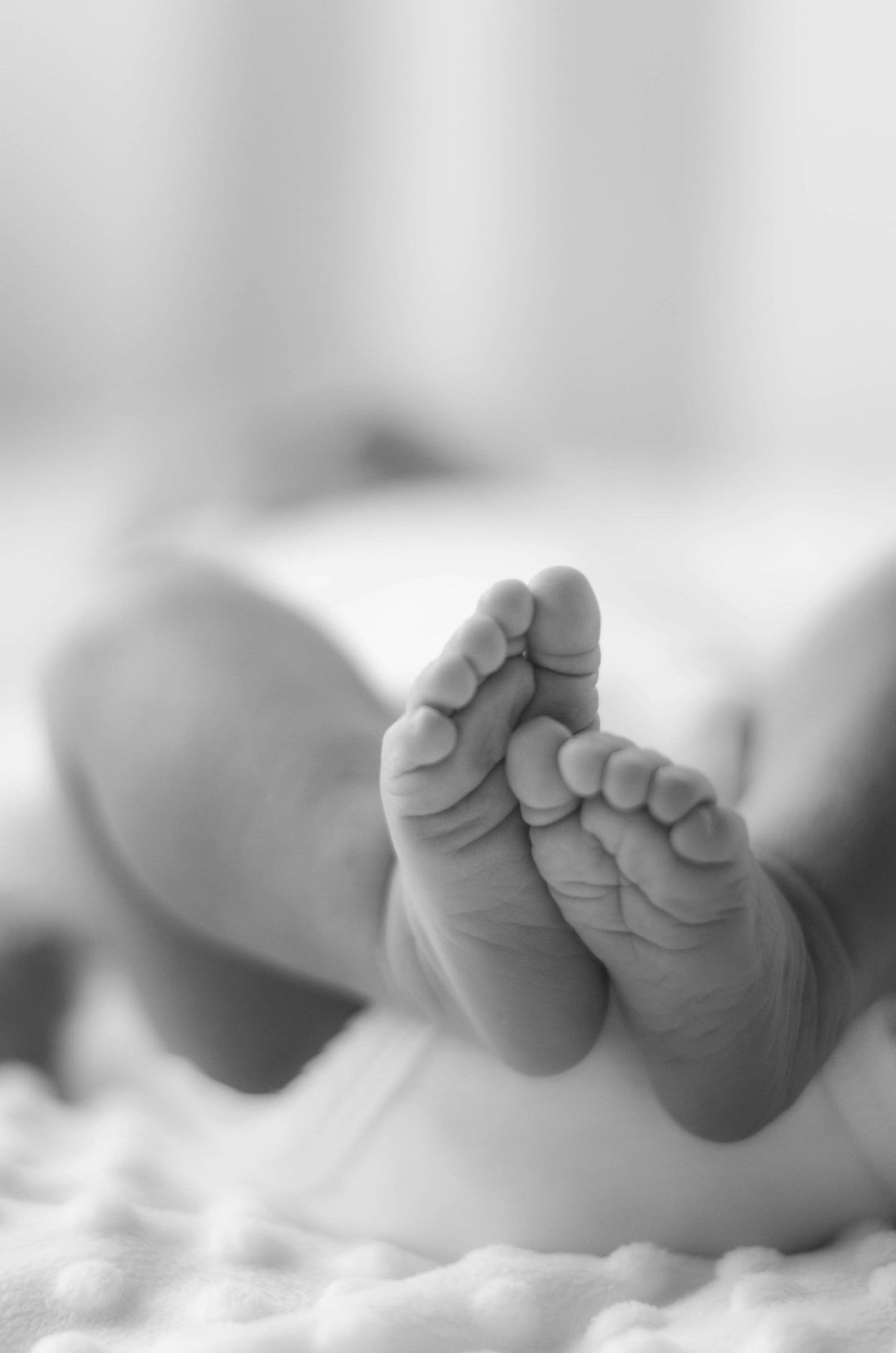 1-1 Newborn Essentials Workshop